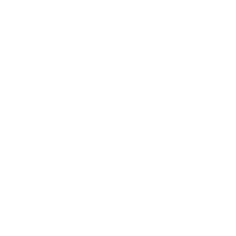 vns logo; dr of acupuncture